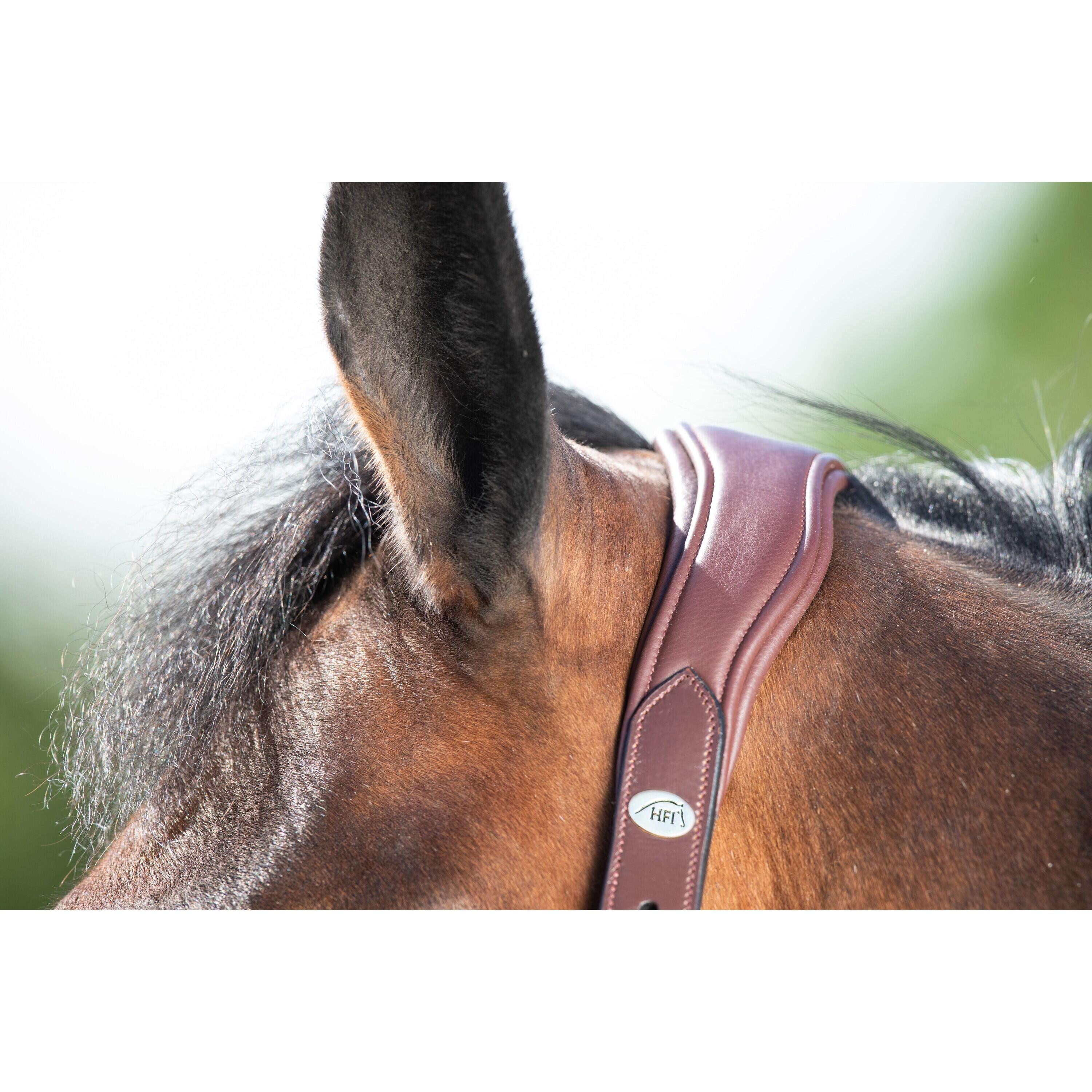 Lederen halster voor paarden HFI Wave 2/2