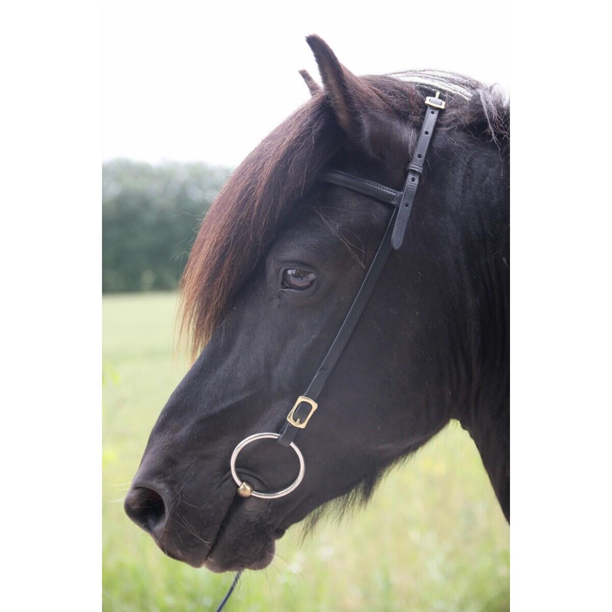 Têtière pour cheval avec frontal Karlslund Iceland 2/2