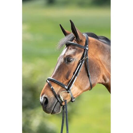 Bridons équitation HFI Comfort