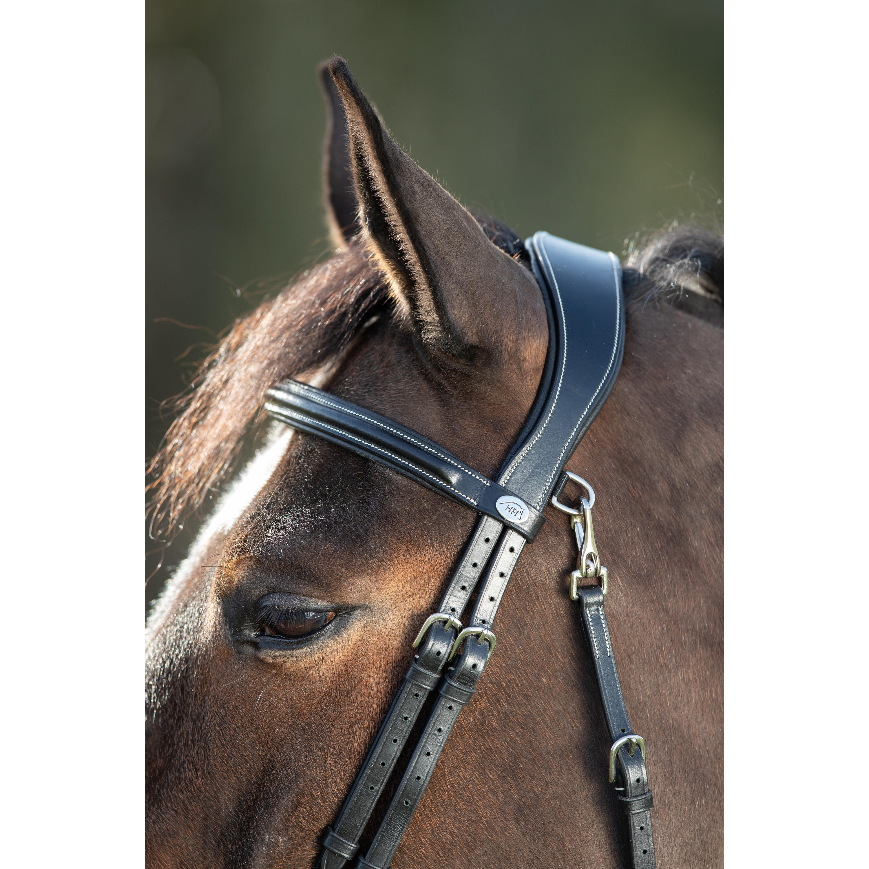 Bridas de equitación HFI Functional 3/4