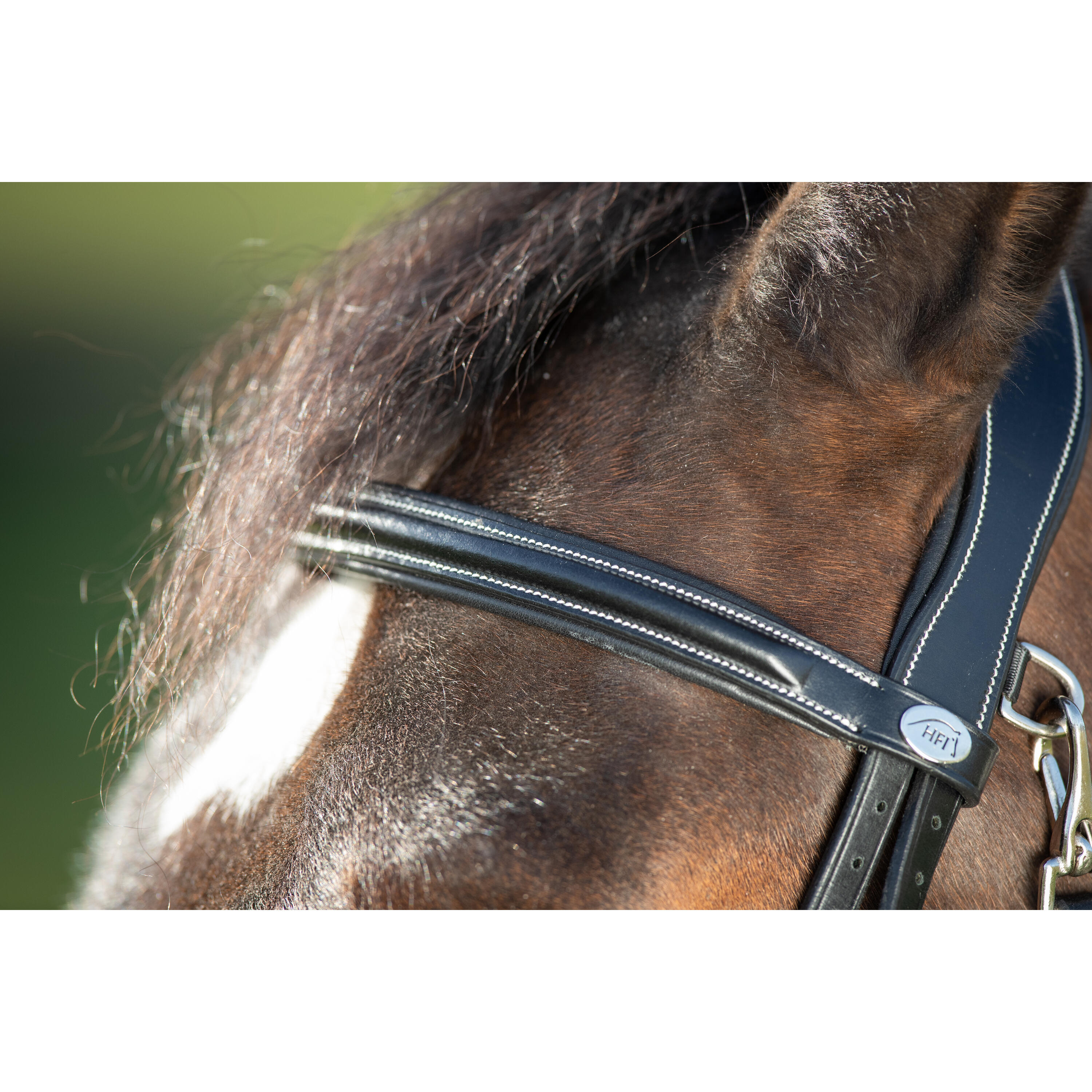 Bridas de equitación HFI Functional 2/4