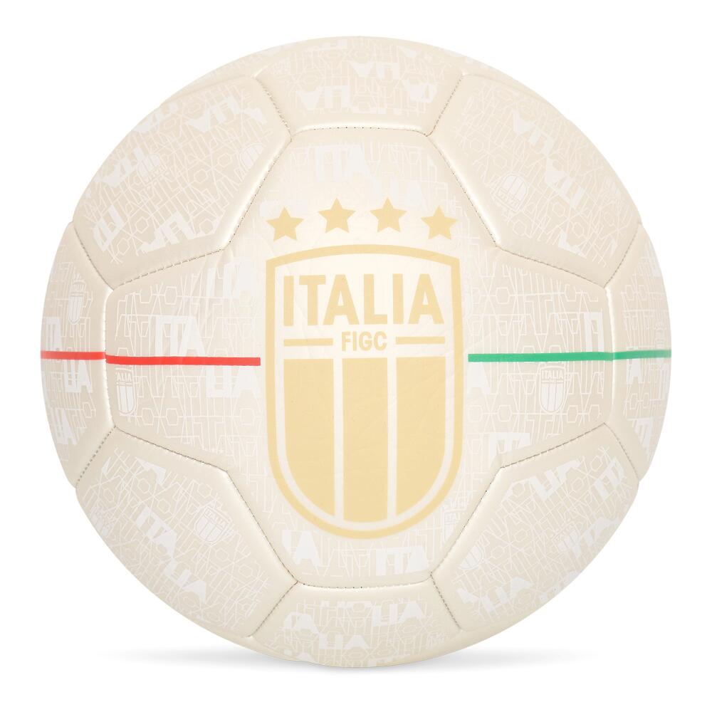FIGC picture