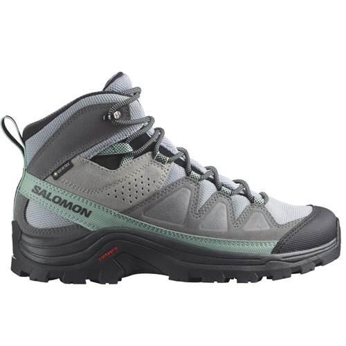 Bergstiefel Salomon Quest Rove Gore-Tex Grau
