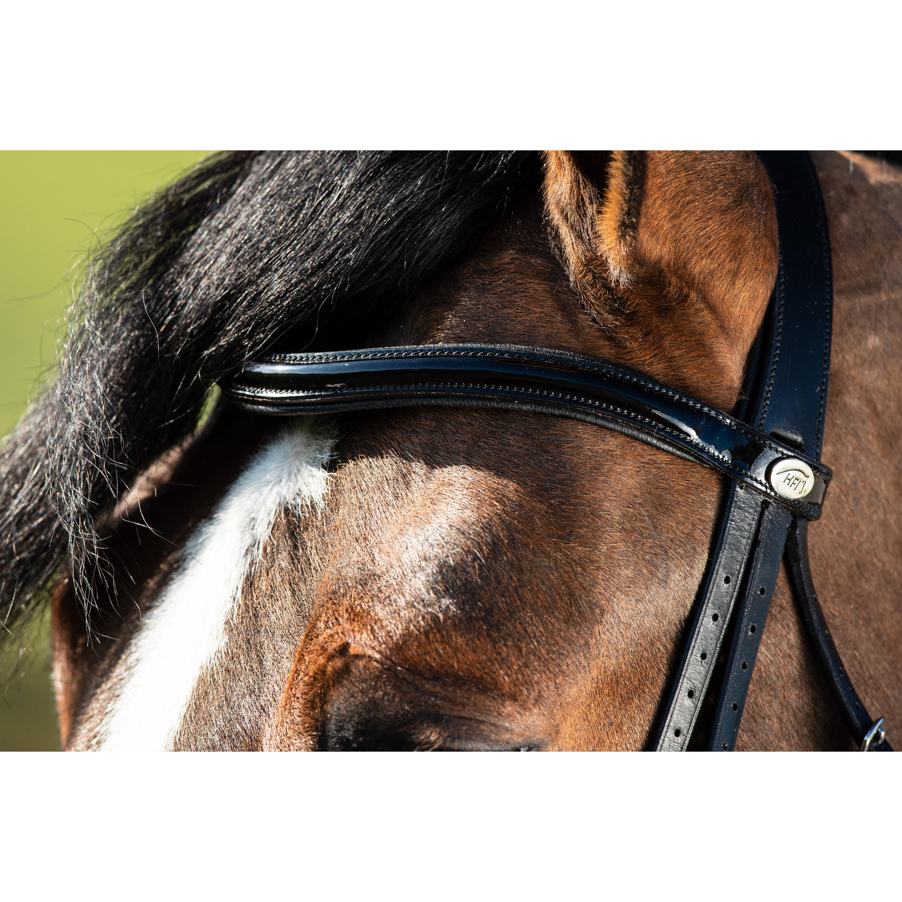 Bridons équitation HFI Weymouth 3/7