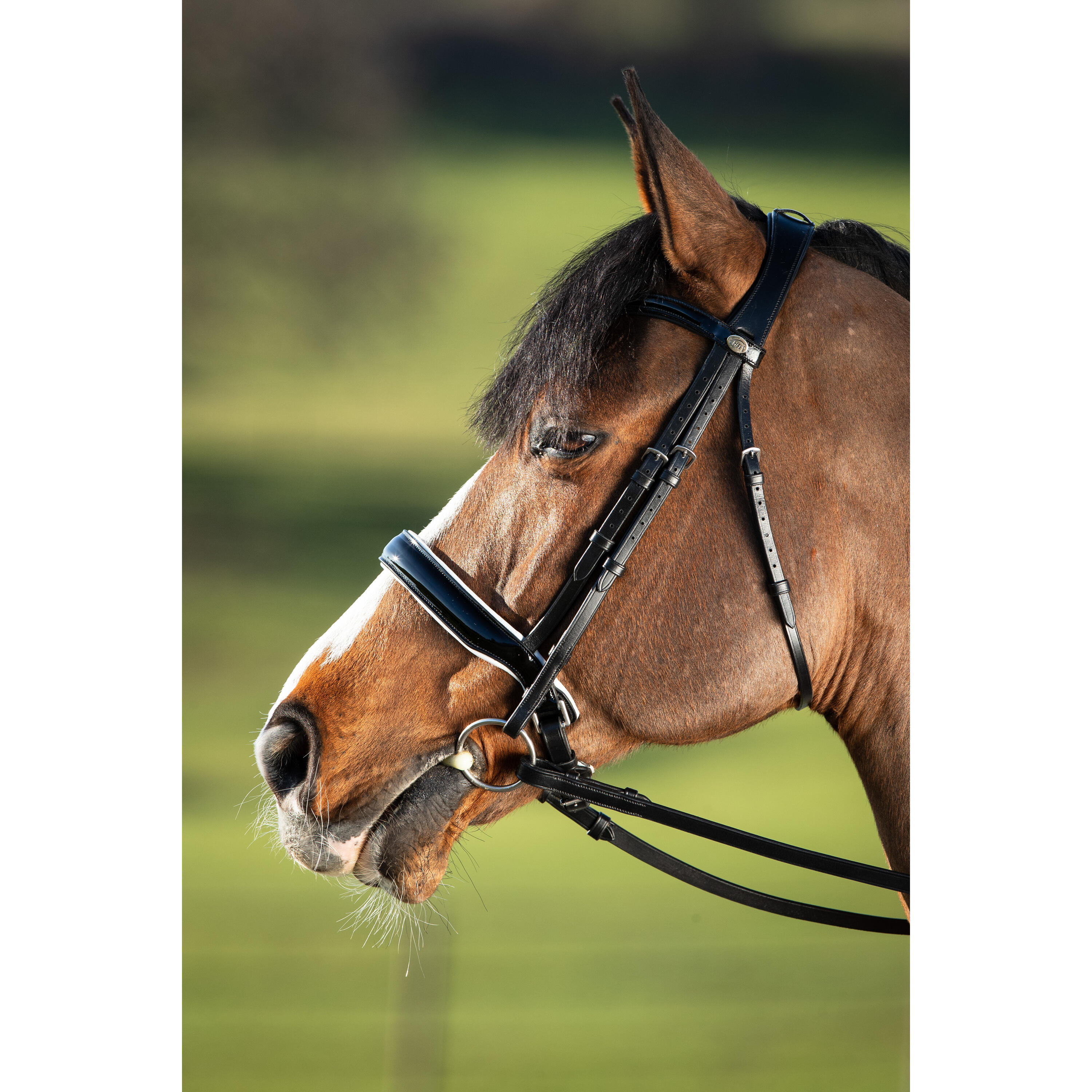 Bridons équitation HFI Weymouth 2/7