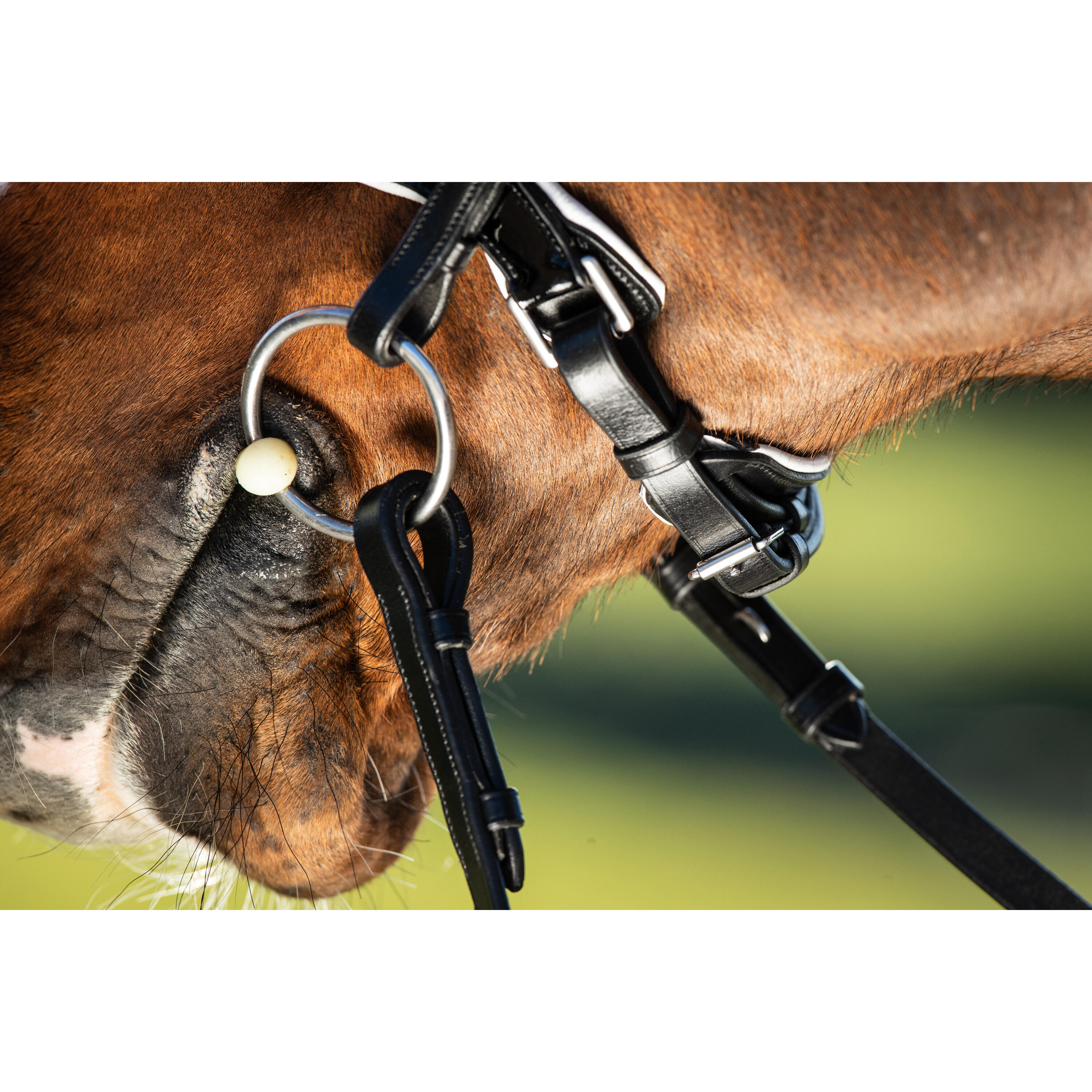 Bridons équitation HFI Weymouth 7/7