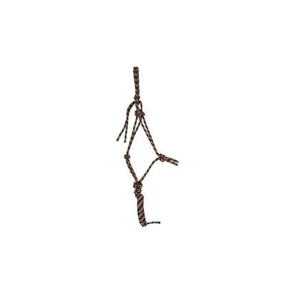 Licol pour cheval etho+longe T de T