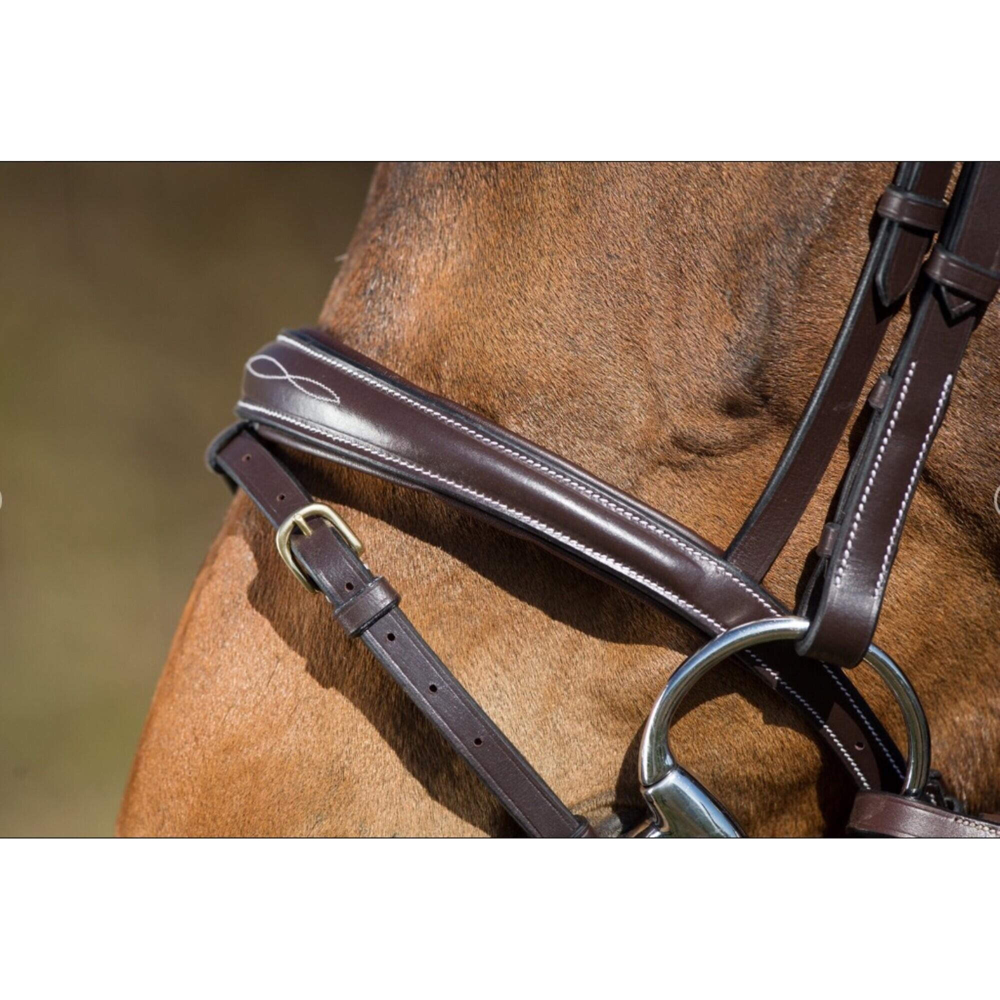 Zaumzeug Reiten HFI Elegant 3/4