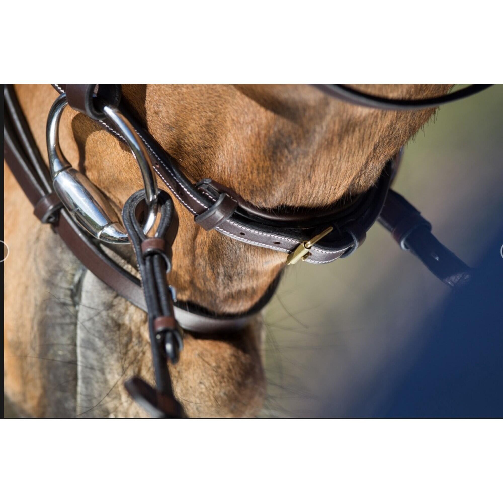 Zaumzeug Reiten HFI Elegant 2/4