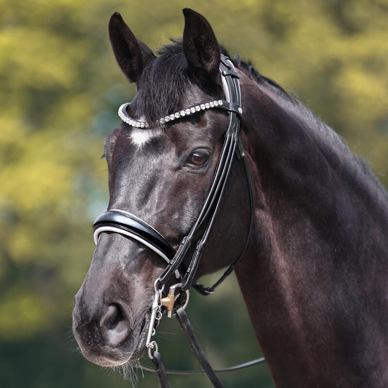 Anatomical riding bridle Kavalkade Fleur