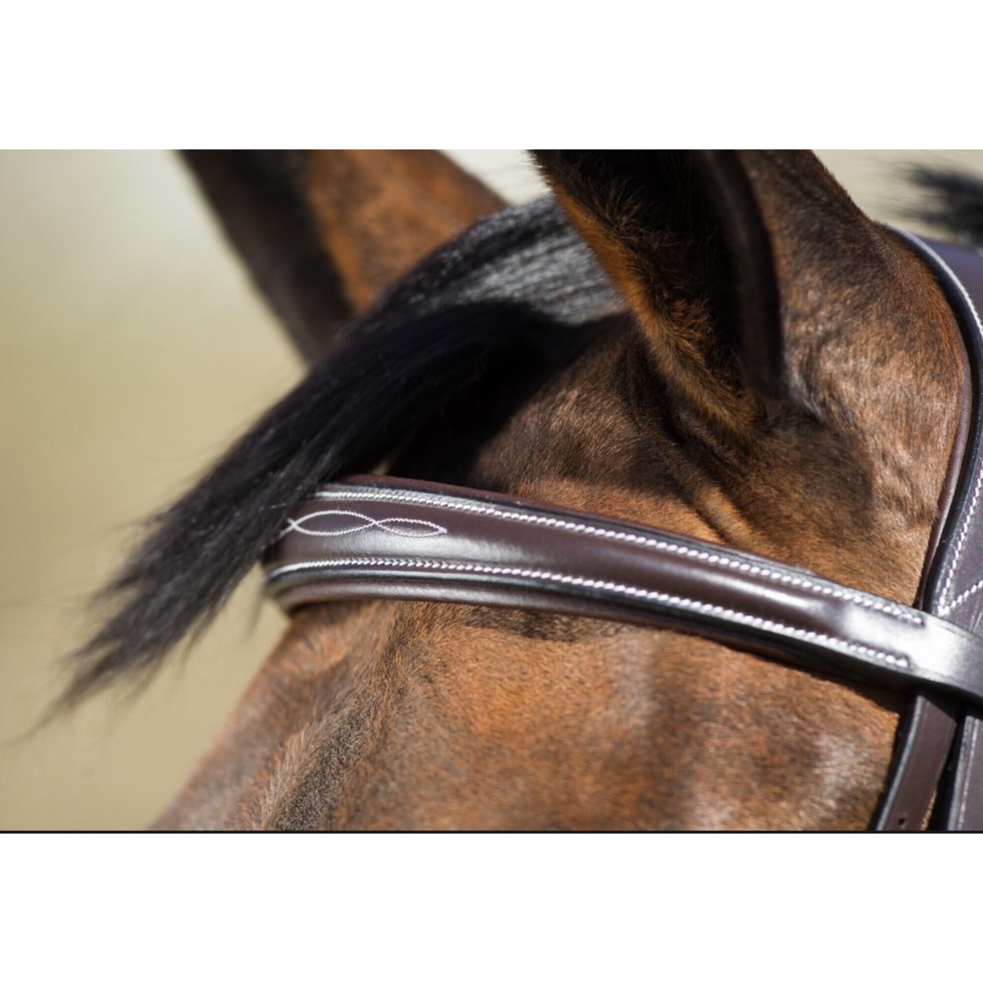 Zaumzeug Reiten HFI Elegant 4/4