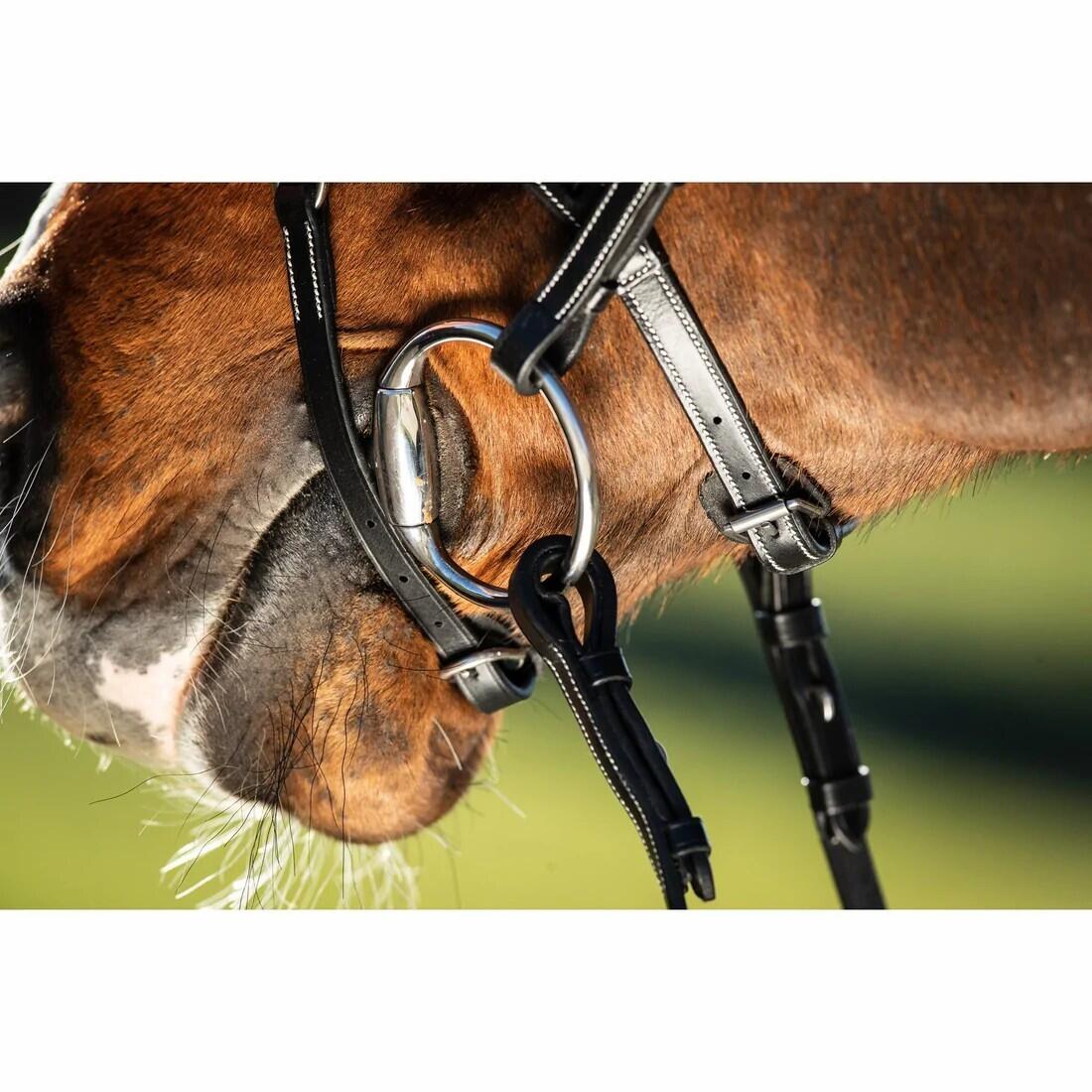Bridas de equitación HFI Techno 3/7