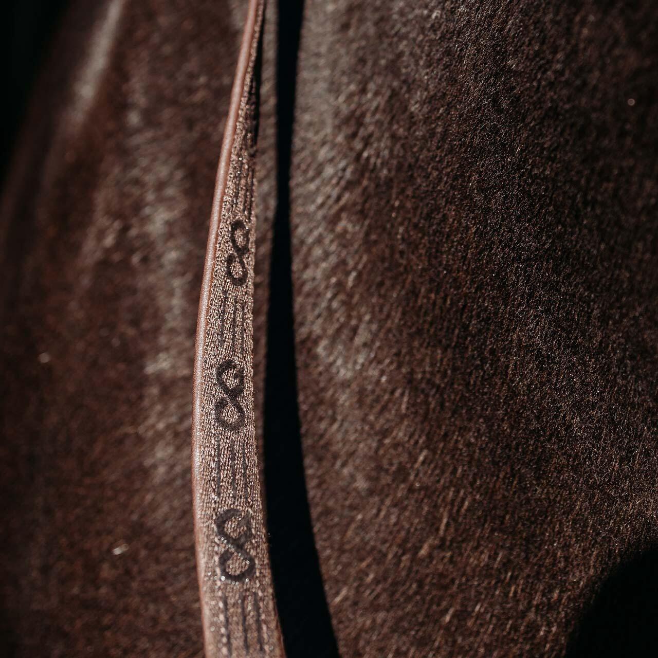 Redini per cavalli con clip Presteq FaySport 2/3