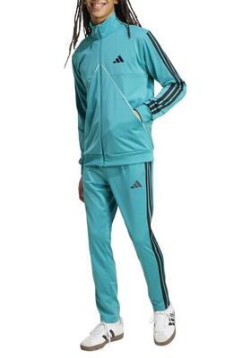 TUTA complete uomo ( acetato-poliestere) adidas verde