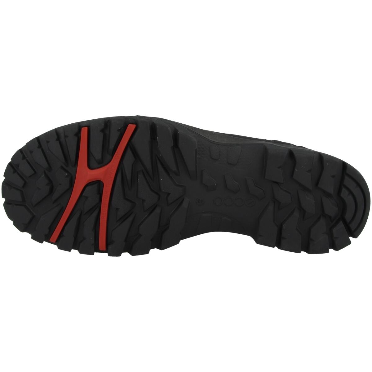 Buty trekkingowe męskie Ecco Xpedition Iii 5/7