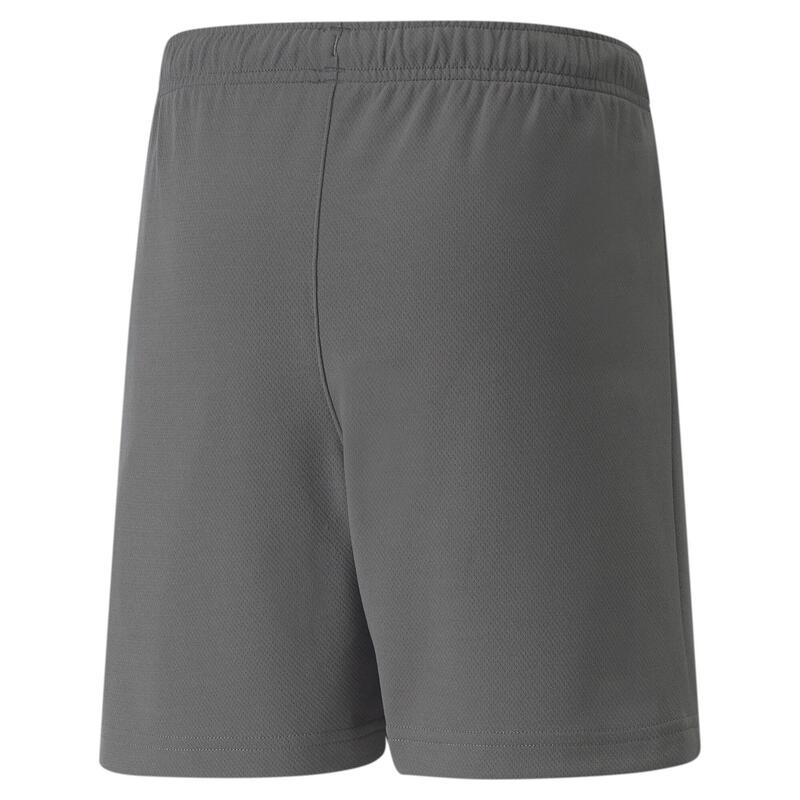 Pantaloni Scurți Drumeții În Natură Puma Copii