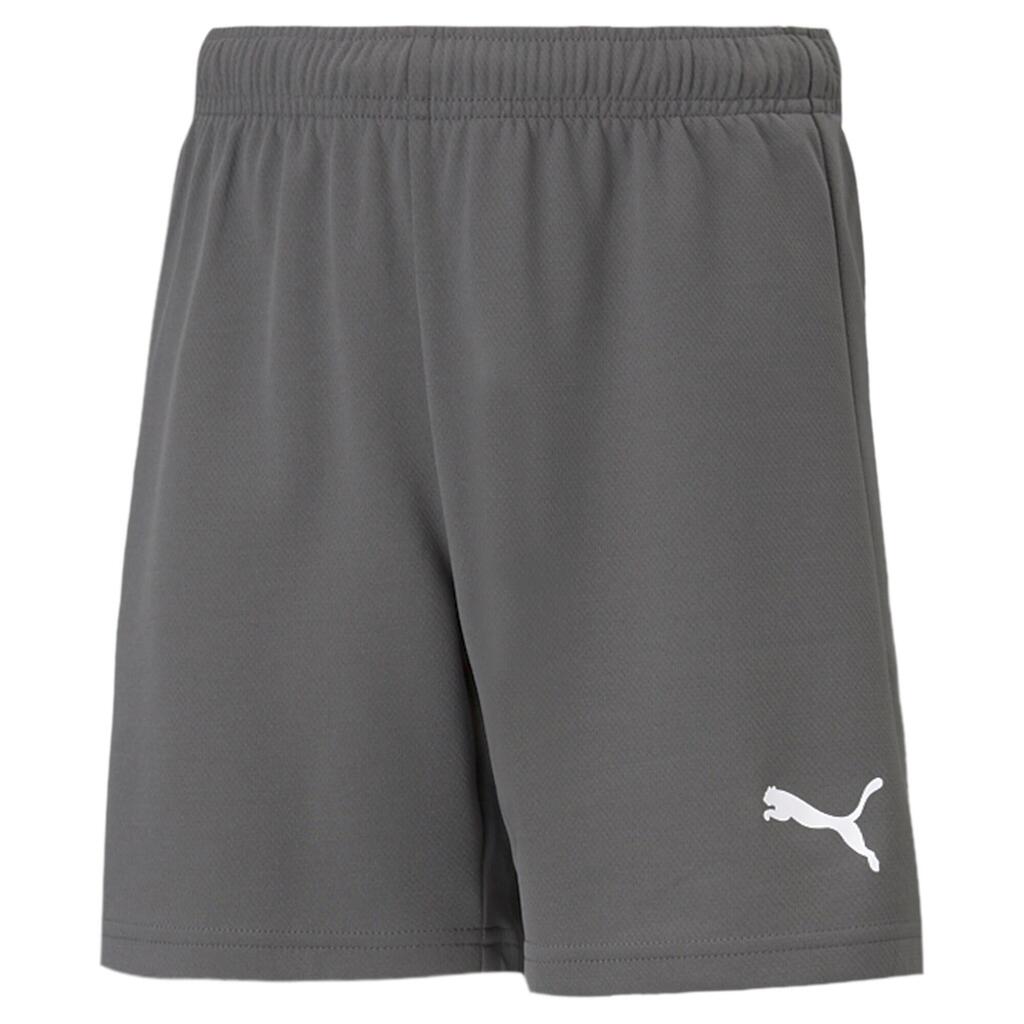 Childrens/Kids TeamRISE Shorts (Grey)