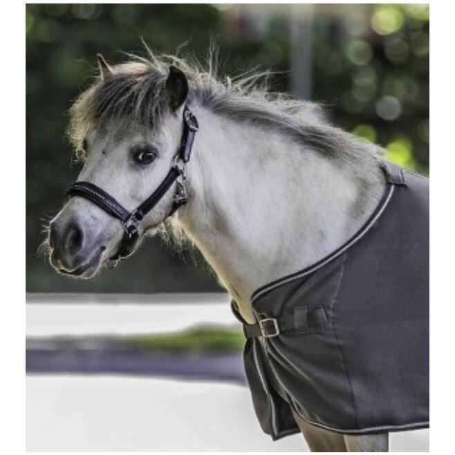 Manta polar para caballos Waldhausen Economic 2/4