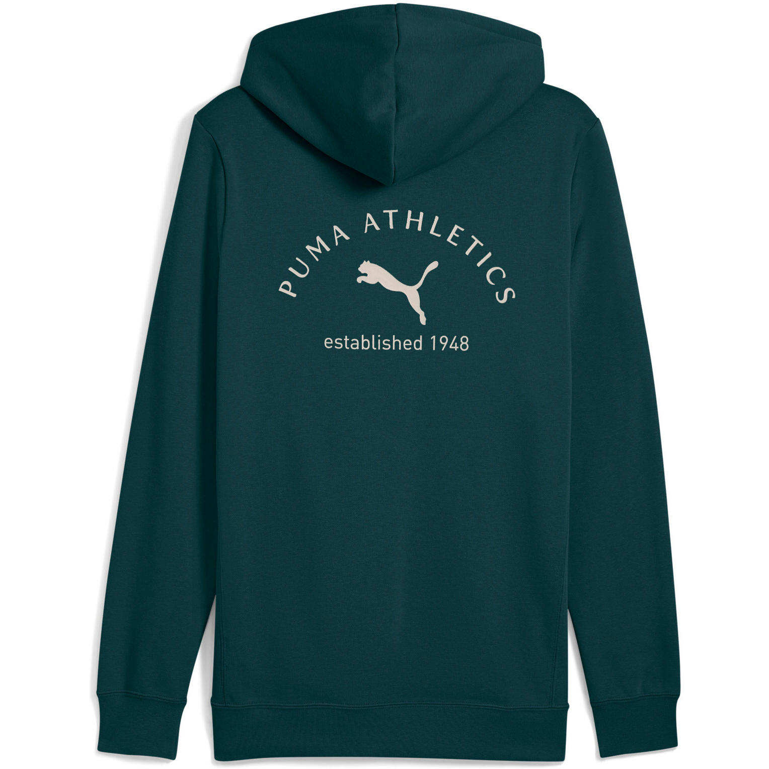 Capot Puma Class Graphic Hoodie, Vert, Hommes 2/2