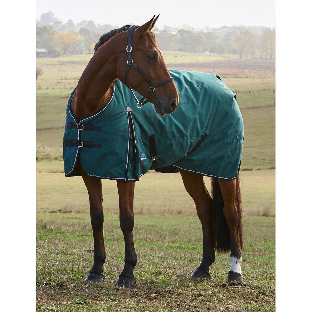 Manta de exterior para caballos Weatherbeeta Comfitec Classic 220g 3/3