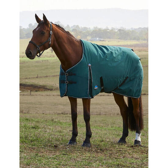 Couverture d'extérieur pour cheval Weatherbeeta Comfitec Classic 220g