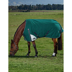 Couverture d'extérieur pour cheval Weatherbeeta Comfitec Plus Dynamic 100g