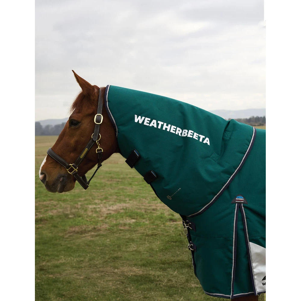 WEATHERBEETA picture