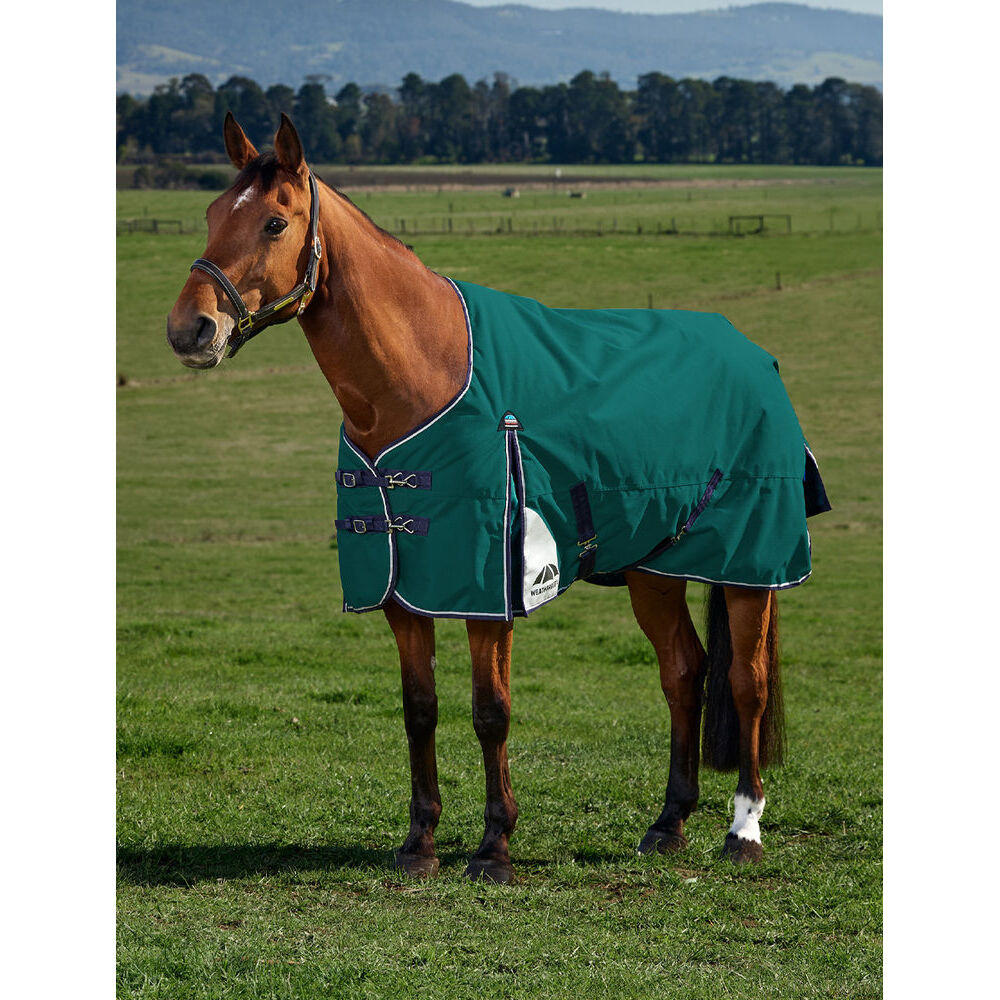 Coperta da paddock per cavalli Weatherbeeta Comfitec Plus Dynamic 0g 2/5
