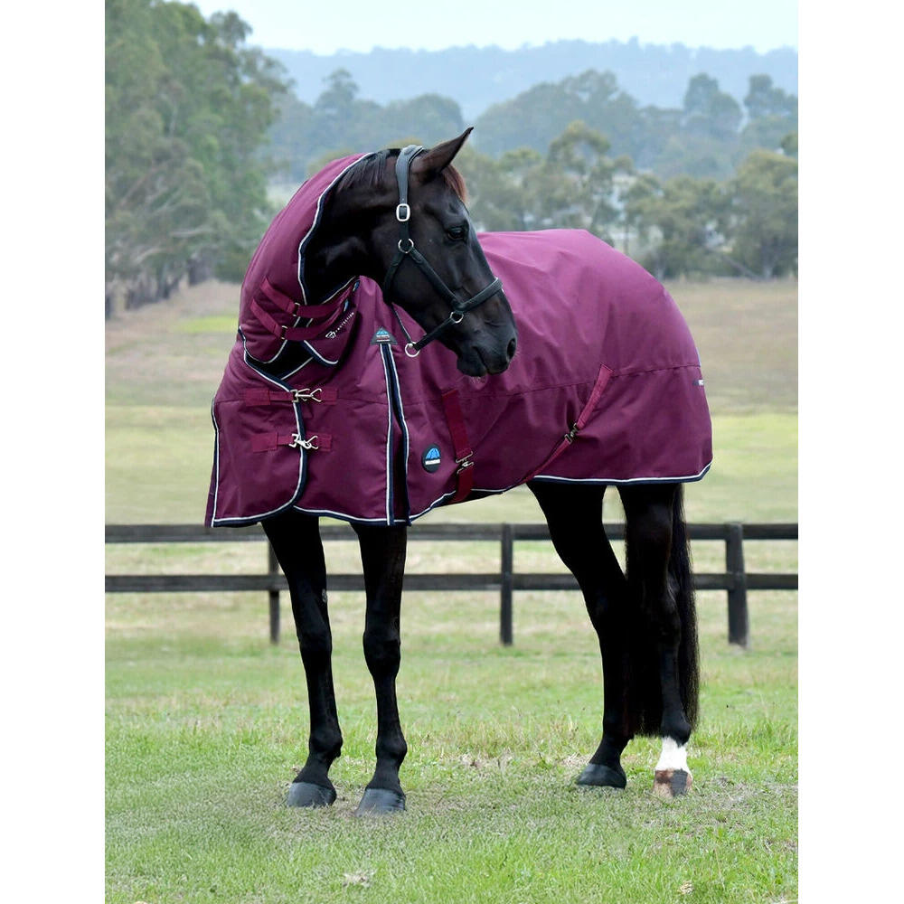 Coperta da paddock per cavalli Weatherbeeta Comfitec Essential Combo 220g 2/5