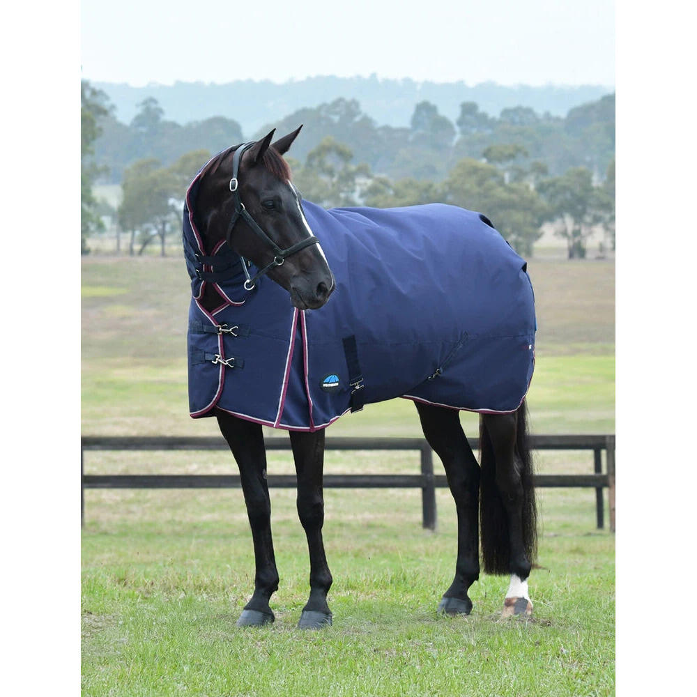 Couverture d'extérieur pour cheval Weatherbeeta Comfitec Essential Combo 360g 2/5