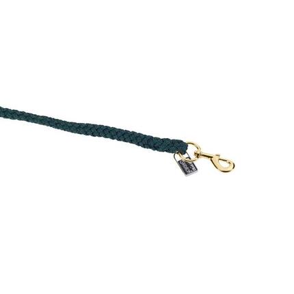 Longe Reiten Eskadron Regular KH Gold (x5)