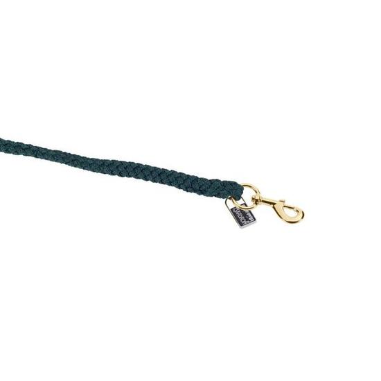 Longe Reiten Eskadron Regular KH Gold (x5)