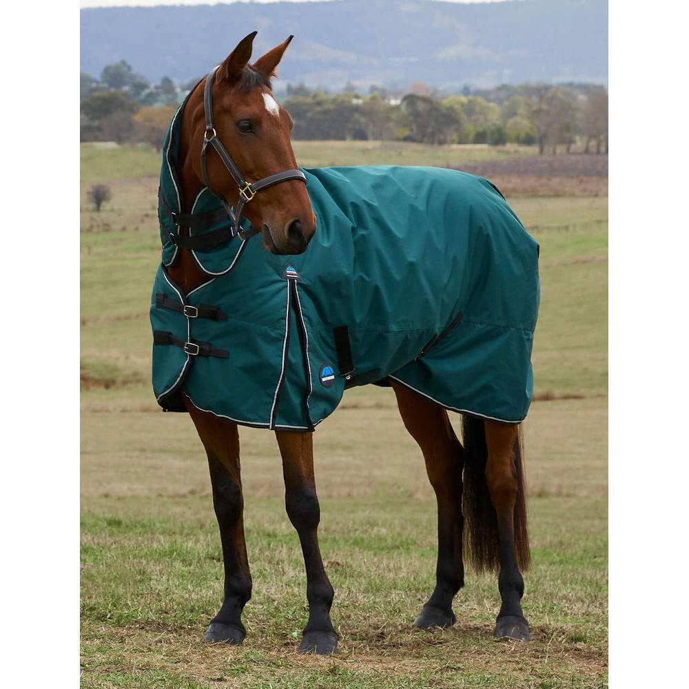 Manta de exterior para caballos Weatherbeeta Comfitec Classic Combo 220g 2/5