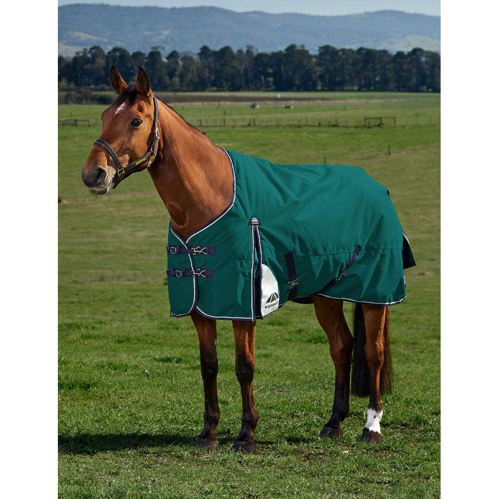 Manta de exterior para caballos Weatherbeeta Comfitec Plus Dynamic 220g 2/5