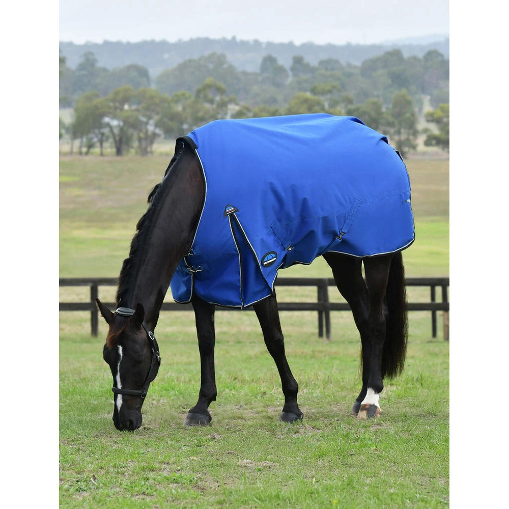 Manta de exterior para caballos Weatherbeeta Comfitec Essential 220g 2/5