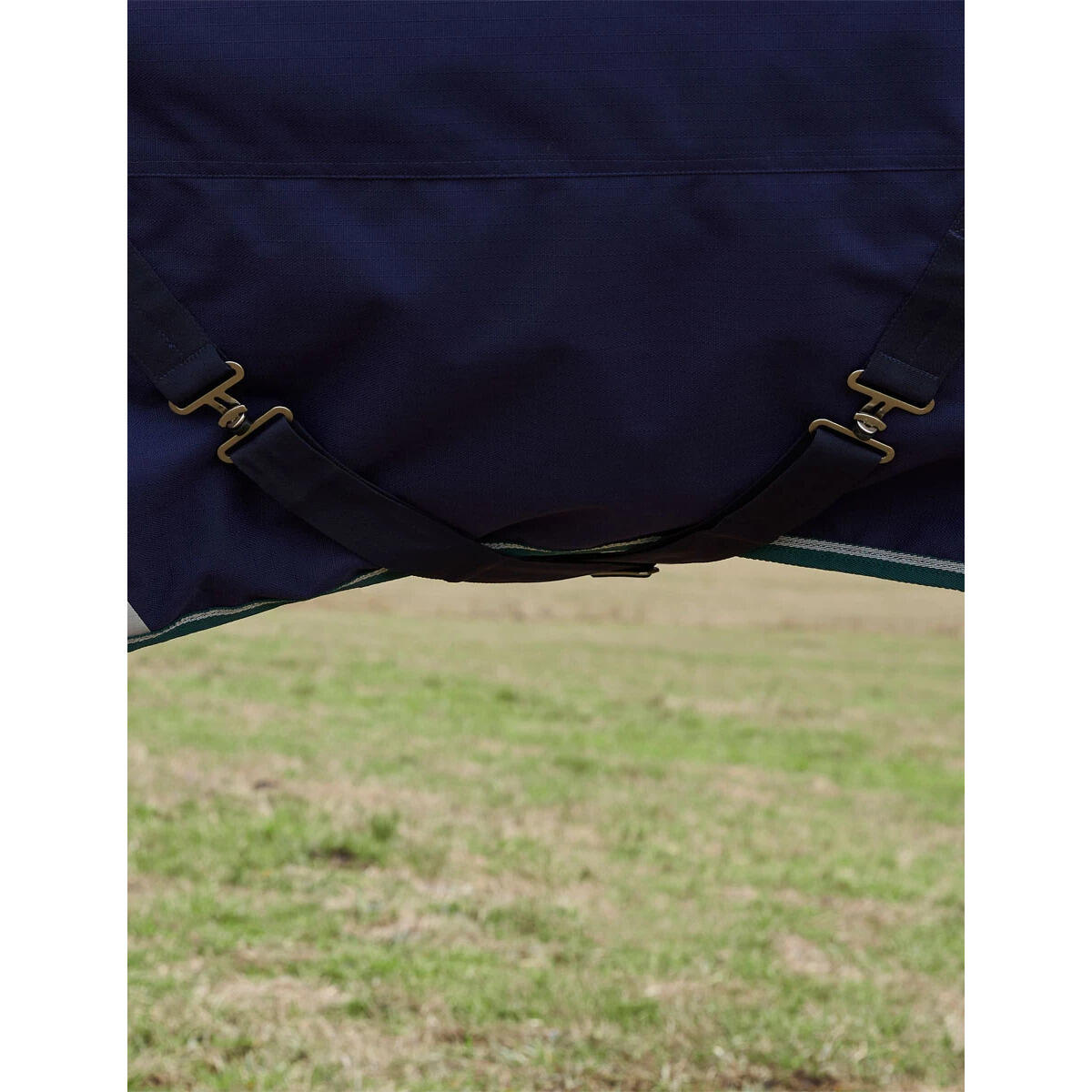 Manta de exterior para caballos Weatherbeeta Comfitec Plus Dynamic 220g 5/5