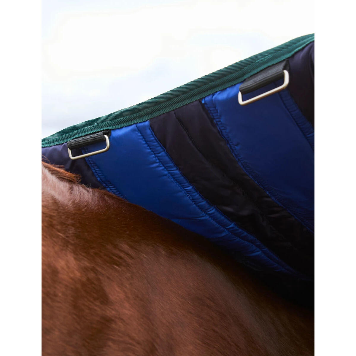 Manta de exterior para caballos Weatherbeeta Comfitec Plus Dynamic 220g 4/5