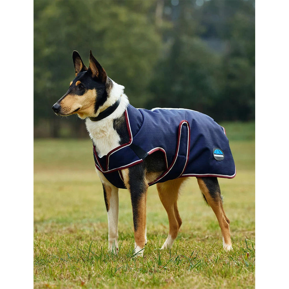Weatherbeeta - Manteau Pour Chien Weatherbeeta Comfitec Premier Deluxe - Manteau Pour Chien - Bleu|rouge - 40 Cm - Decathlon