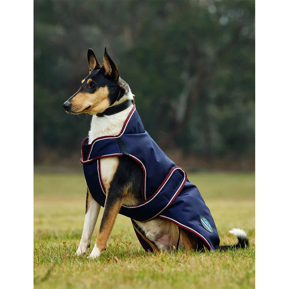 Hondenjas Weatherbeeta Comfitec Premier Deluxe 4/5