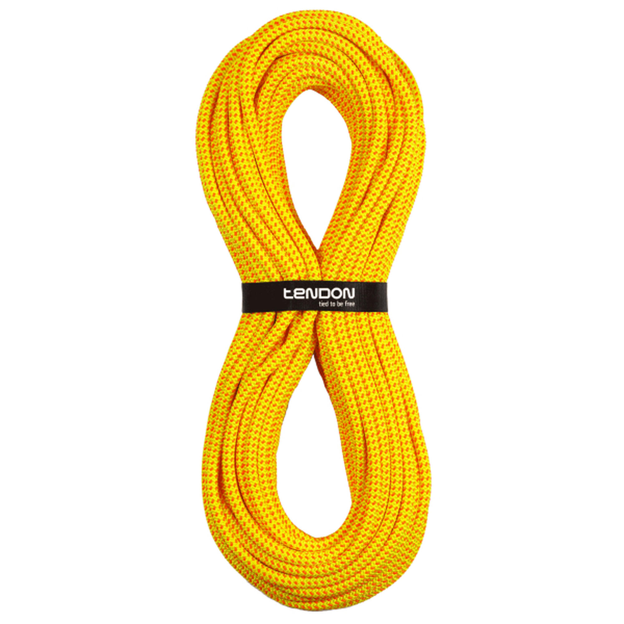 Corda standard Tendon Ambition 10.2 TeFIX
