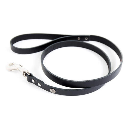 Laisse pour chien en cuir Martin Sellier Class