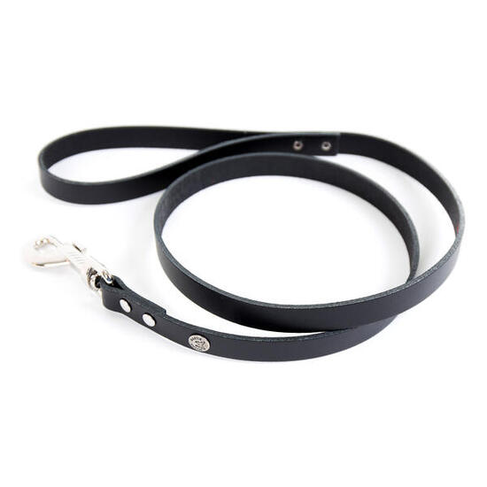 Laisse pour chien en cuir Martin Sellier Class