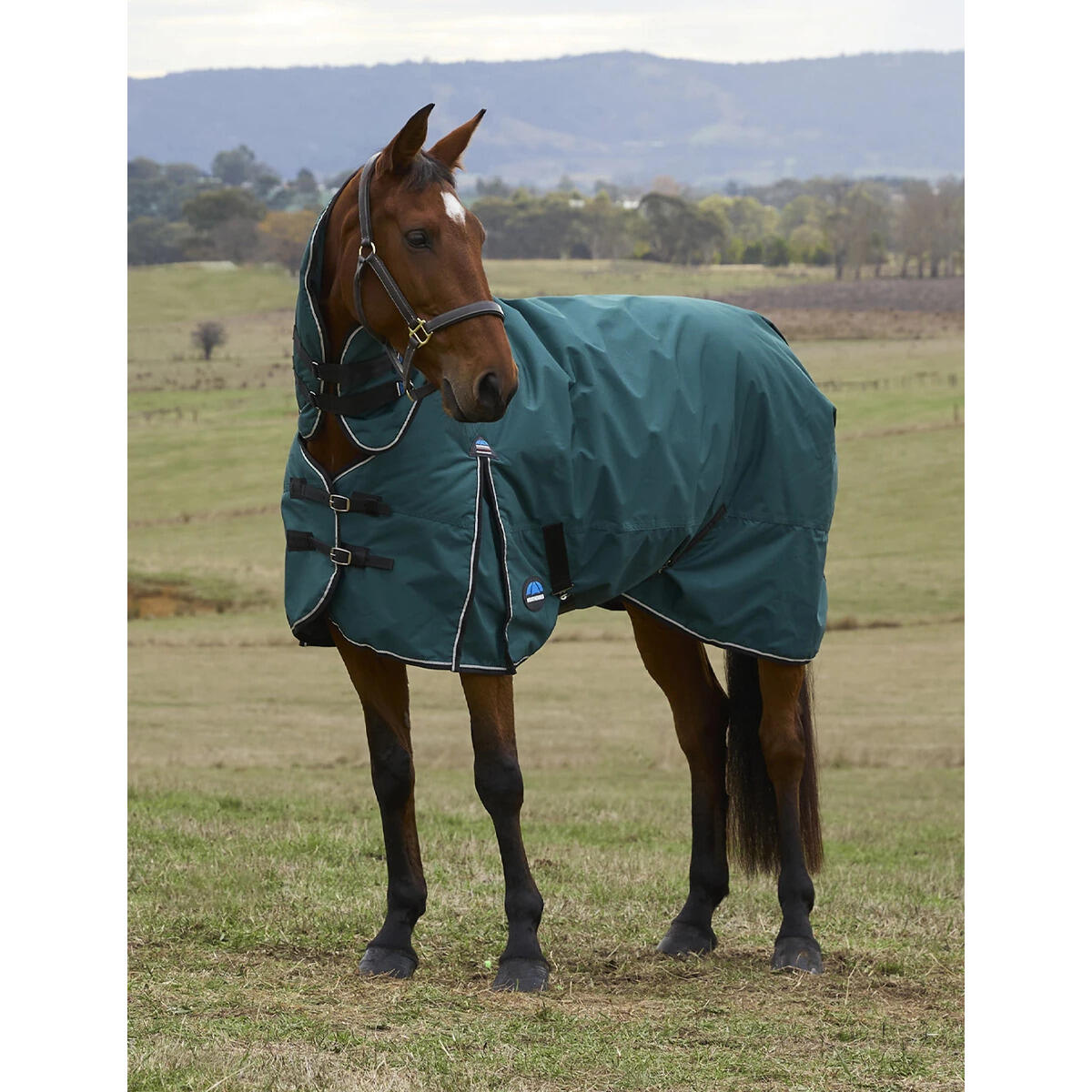 Manta de exterior para caballos Weatherbeeta Comfitec Classic 50g 2/5
