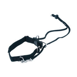 Laisse et harnais pour chien Martin Sellier Easy