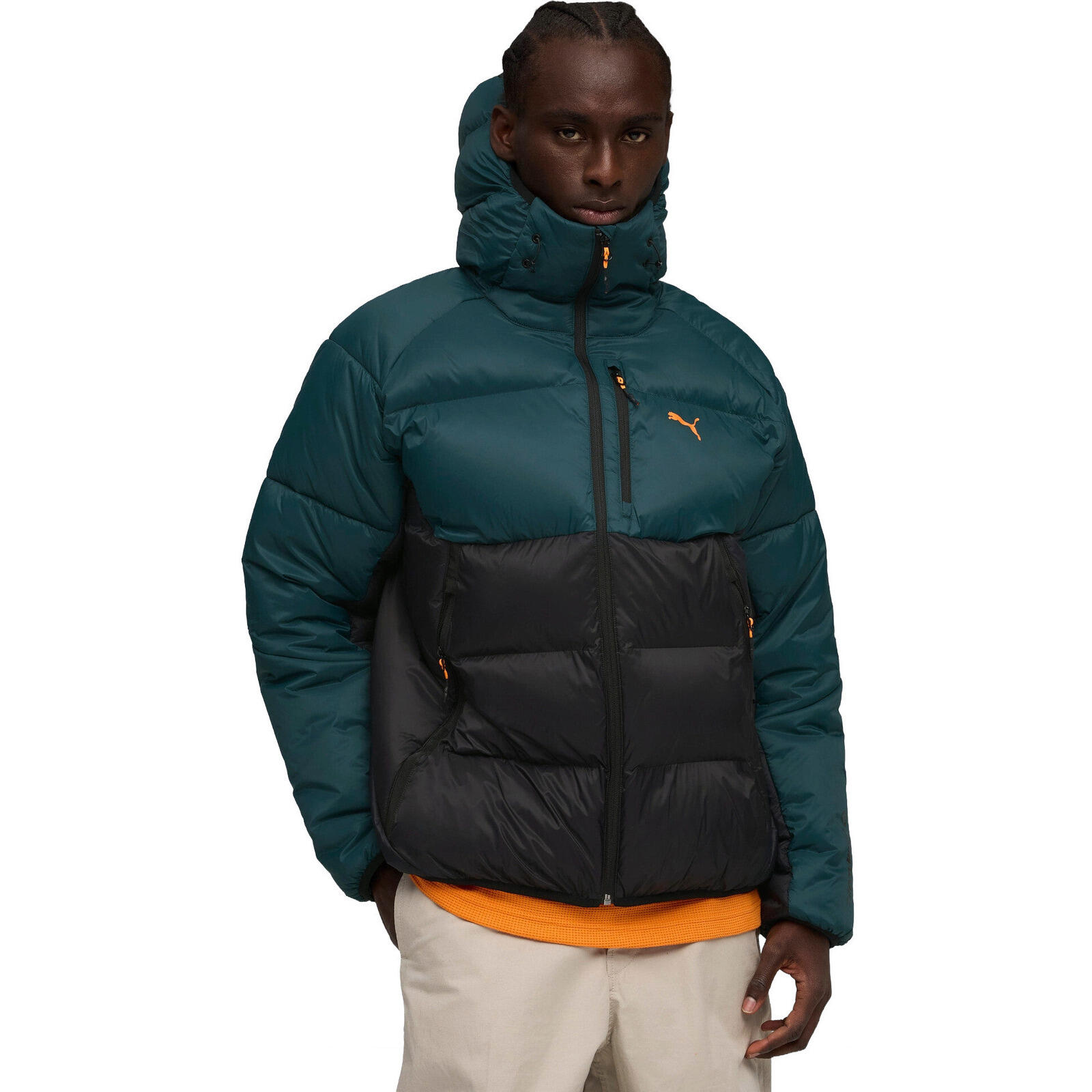 PUMA picture