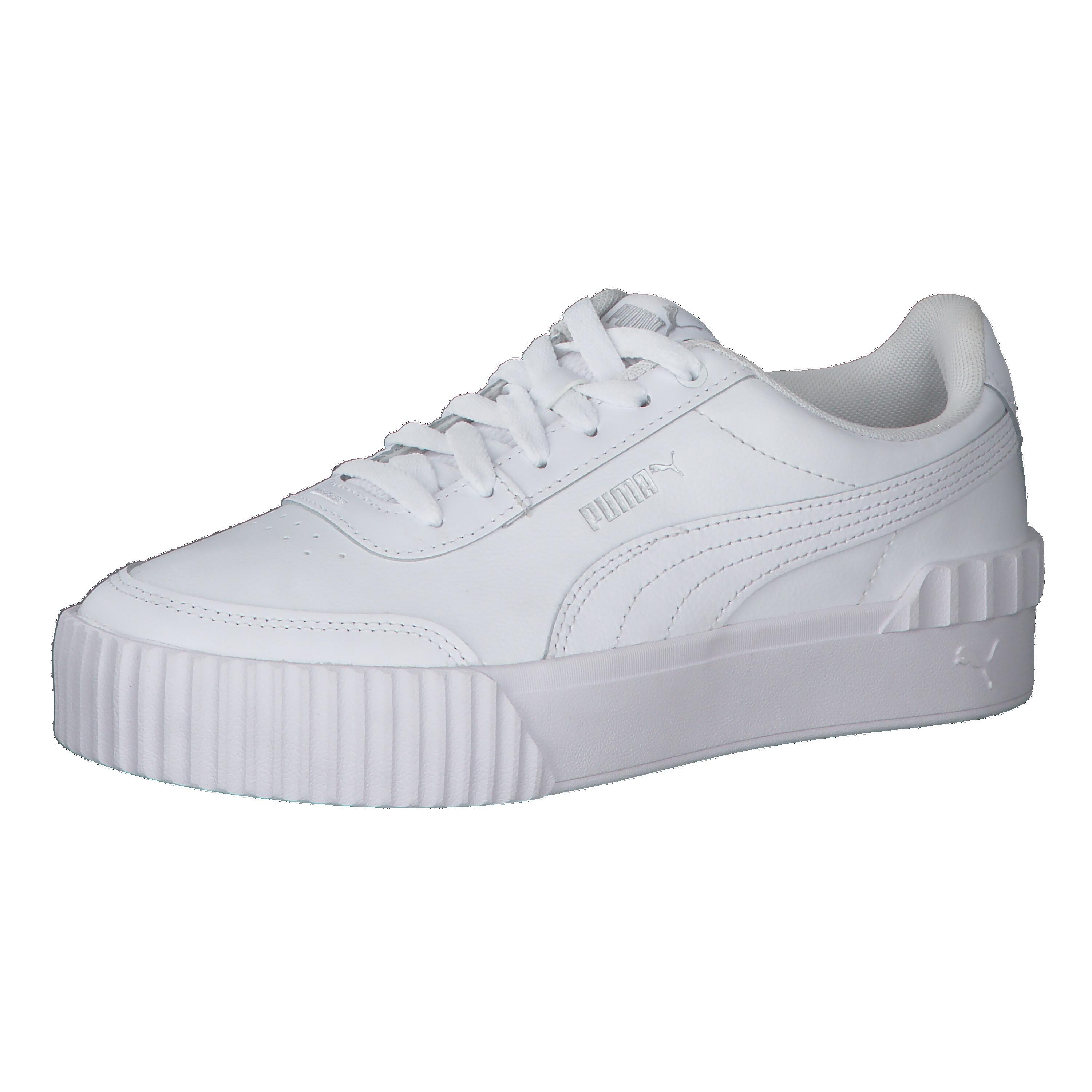 PUMA picture