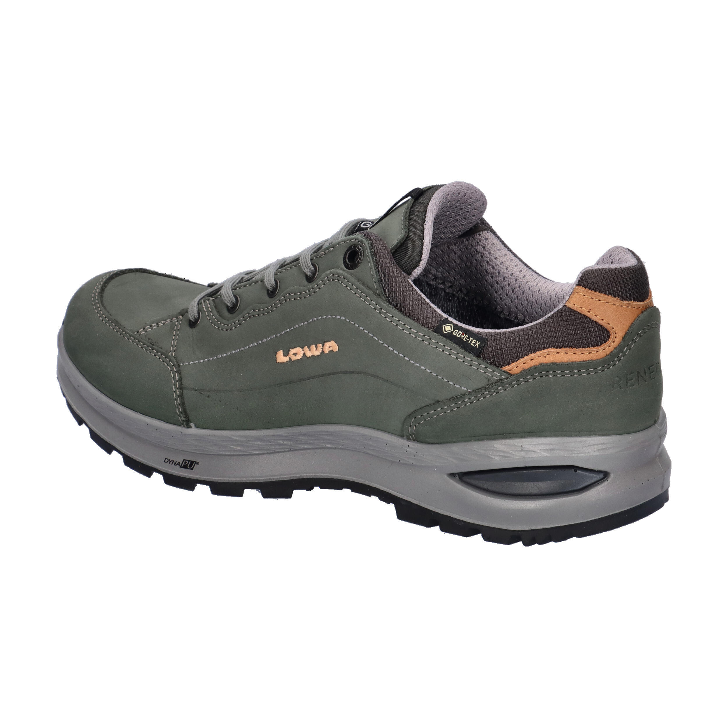 Damen Multifunktionsschuh RENEGADE EVO GTX LO WS 3/7
