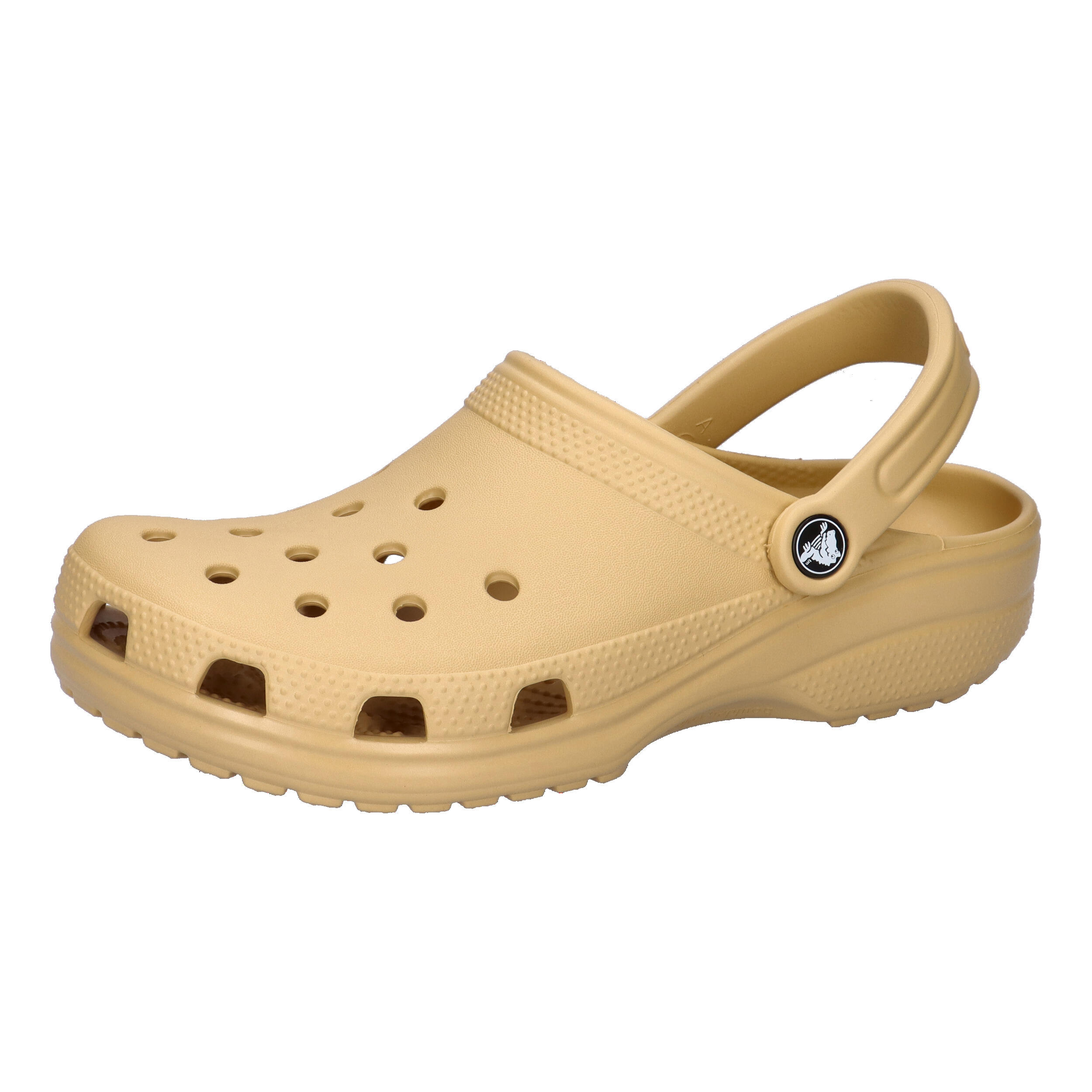 CROCS picture