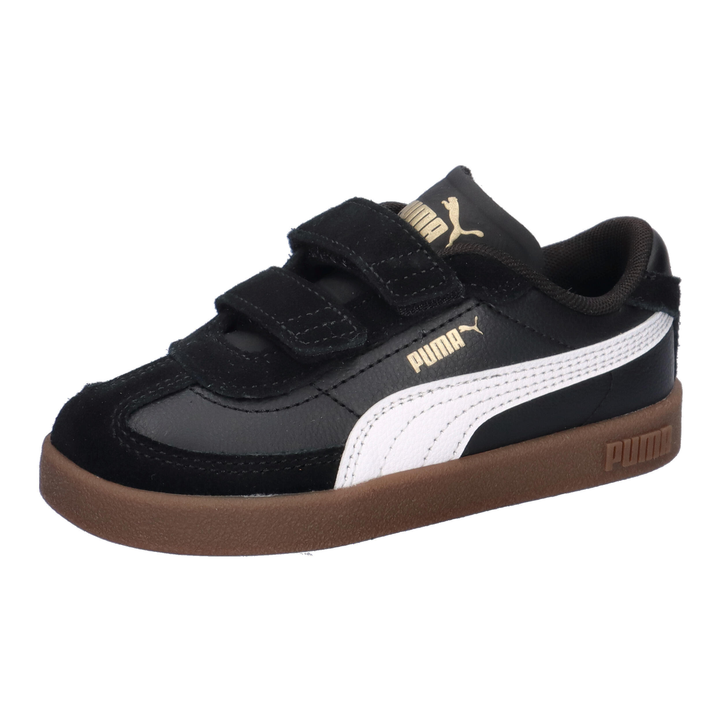 PUMA picture