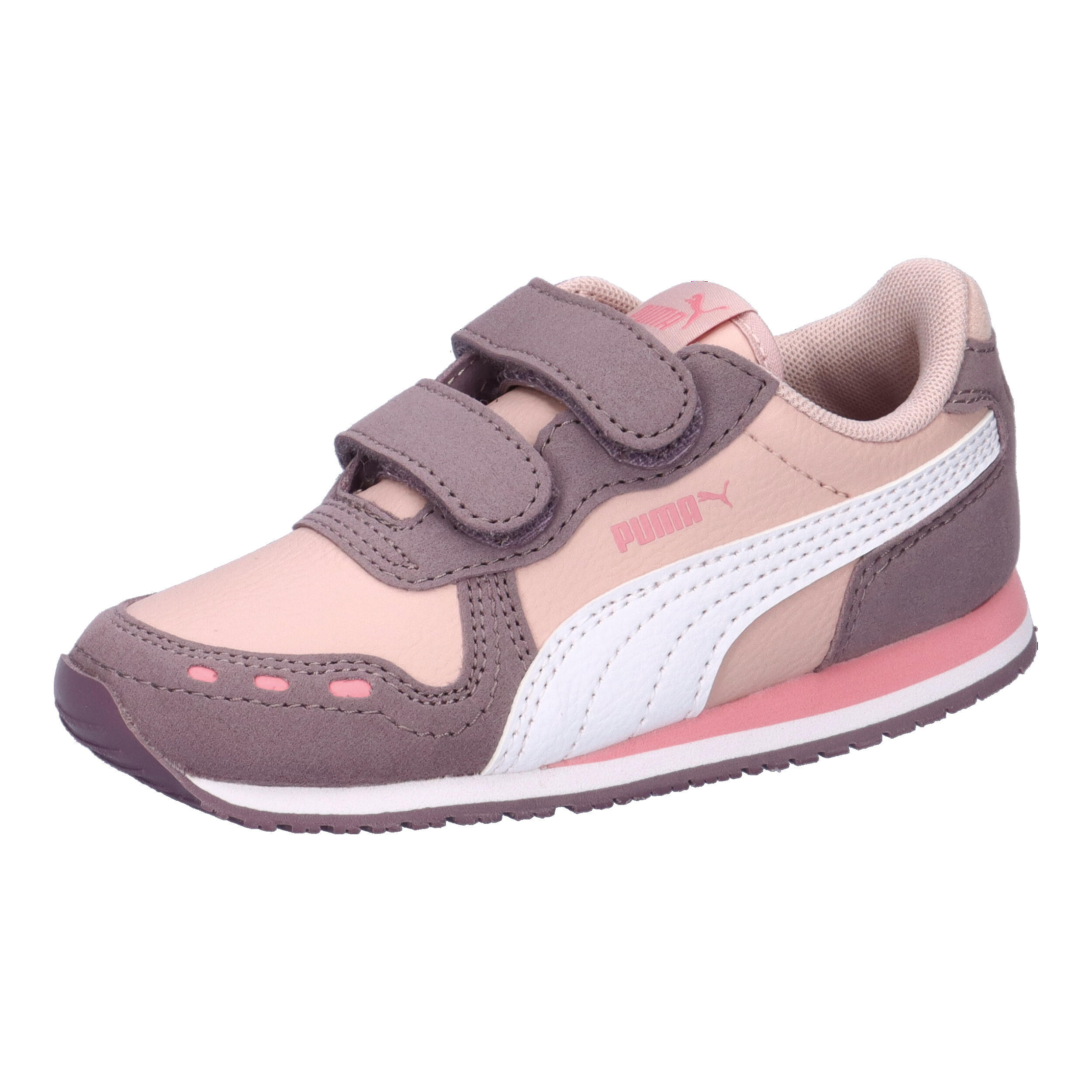 PUMA picture
